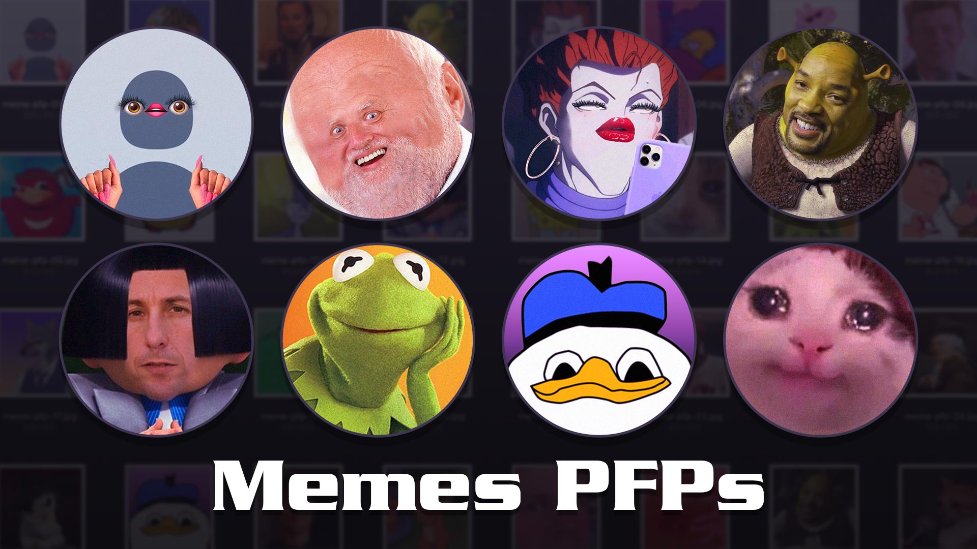 Mème PFPS