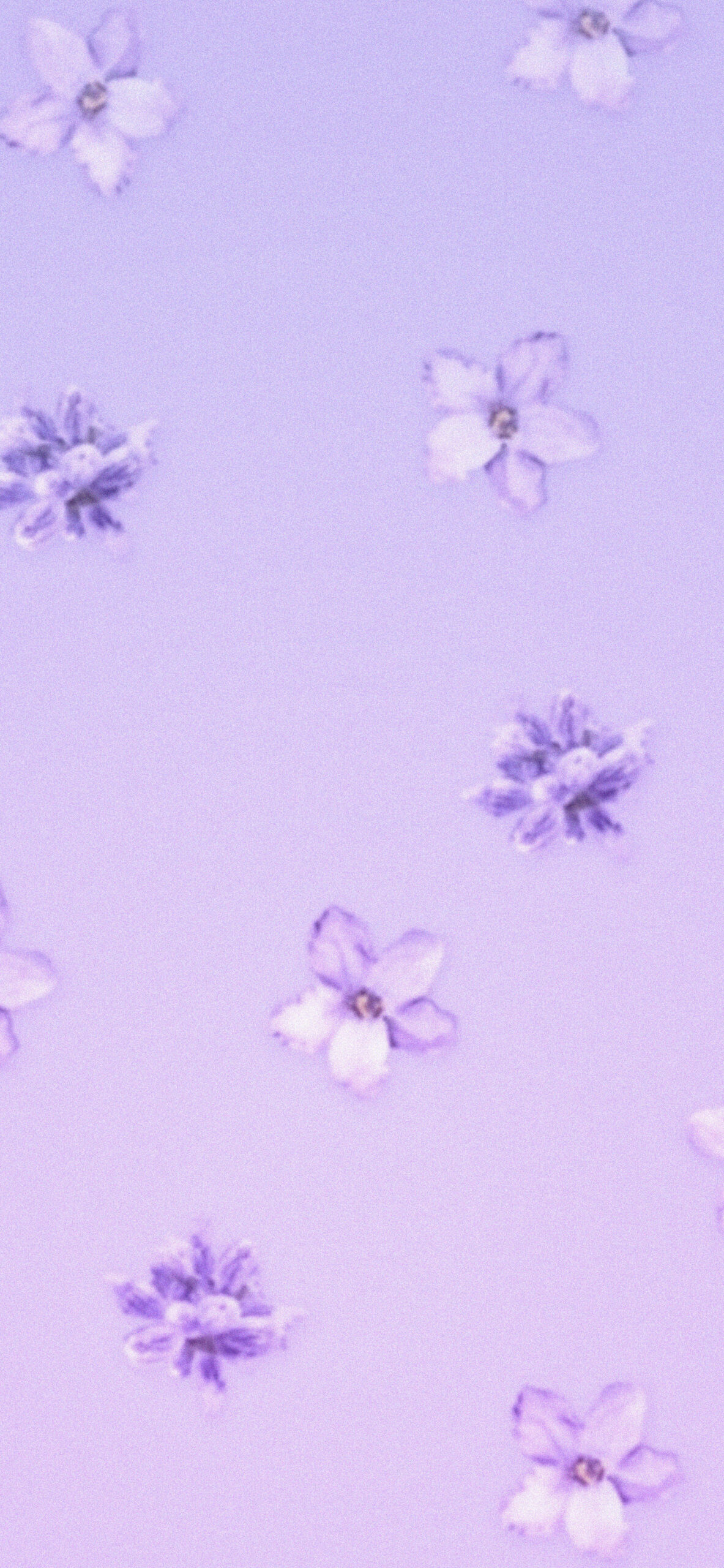 aesthetic lavender wallpaper 3