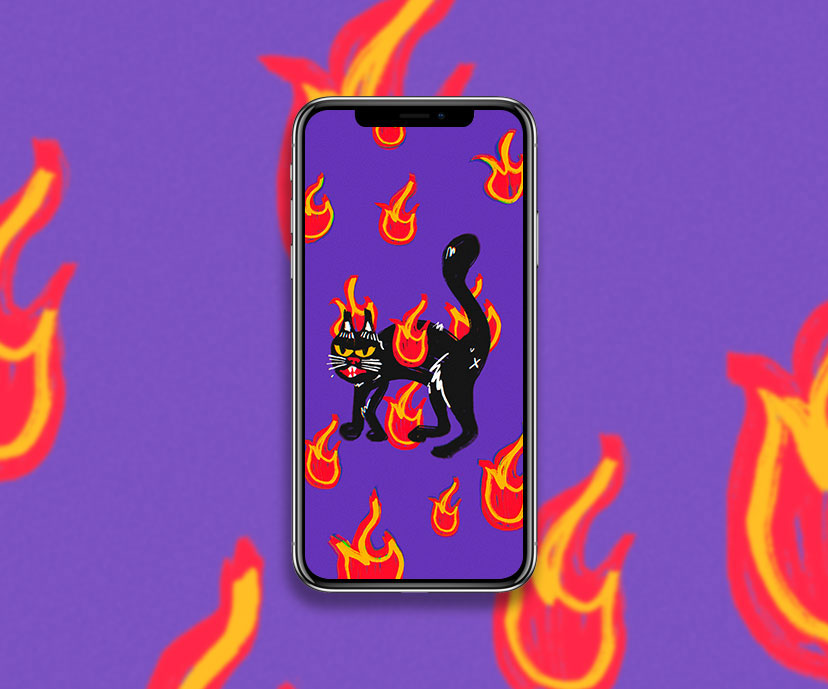 black cat in flame purple wallpapers collection