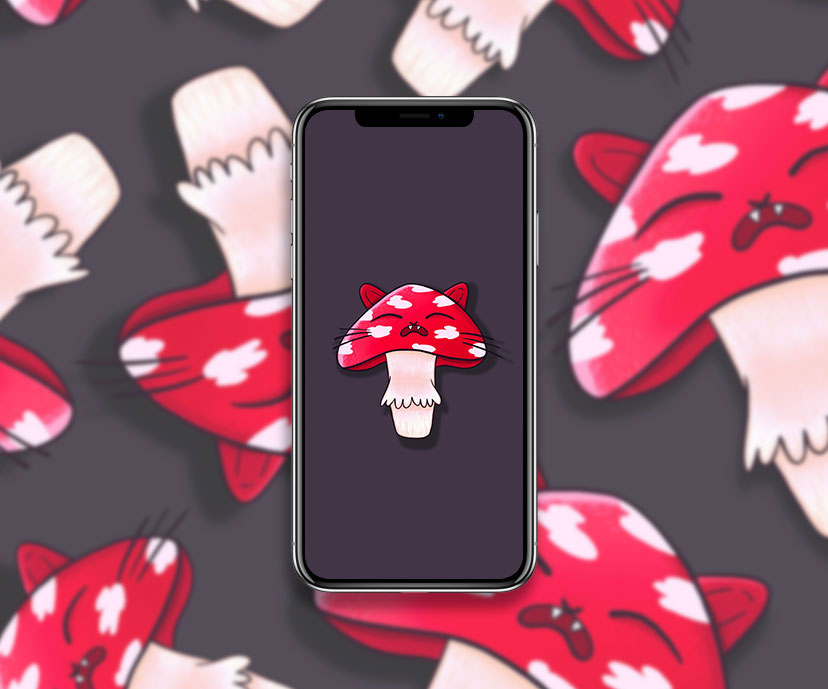 cat fly agaric mushroom wallpapers collection