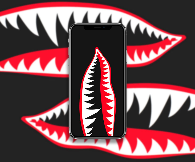 fighter plane shark teeth wallpapers collection