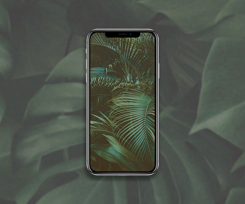forest aesthetic green wallpapers collection