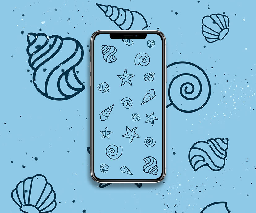 Shells Blue Aesthetic Wallpaper - Summer Light Blue Wallpaper for iPhone