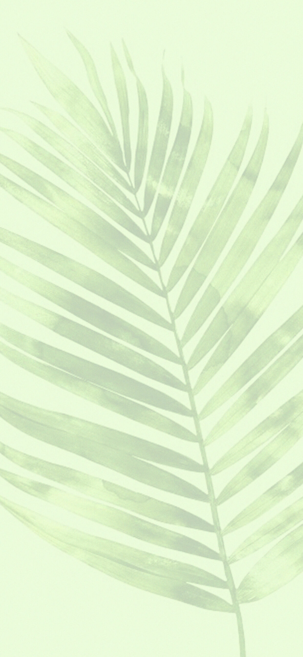 Forest Aesthetic Light Green Wallpapers - Light Forest Wallpaper