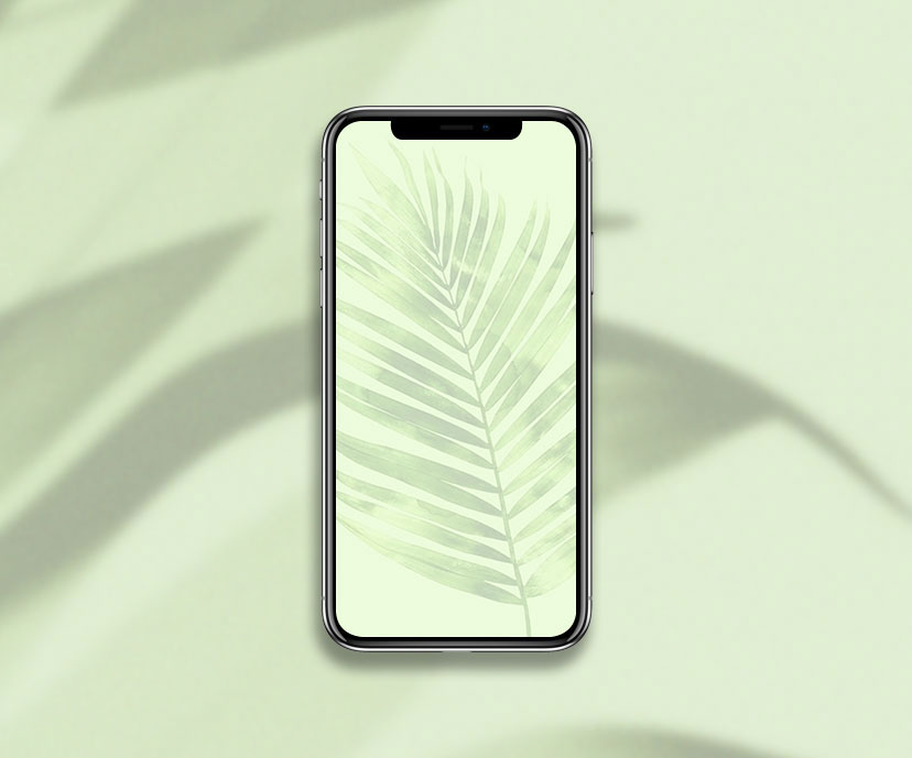 forest aesthetic light green wallpapers collection