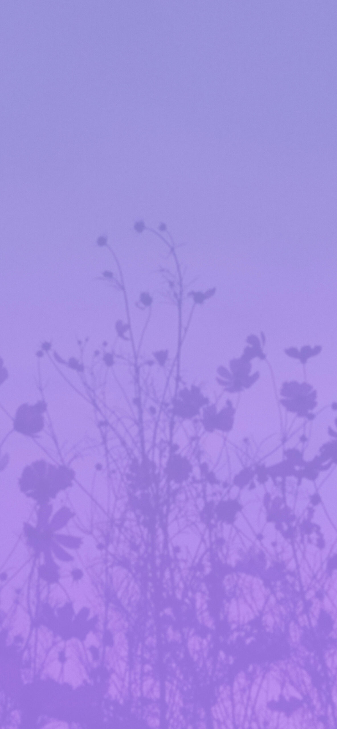 Light Lavender Aesthetic Wallpapers - Aesthetic Purple Wallpapers