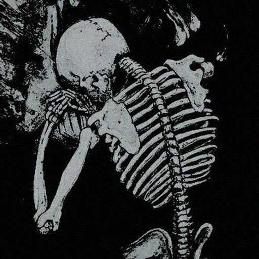 skeleton pfp 15