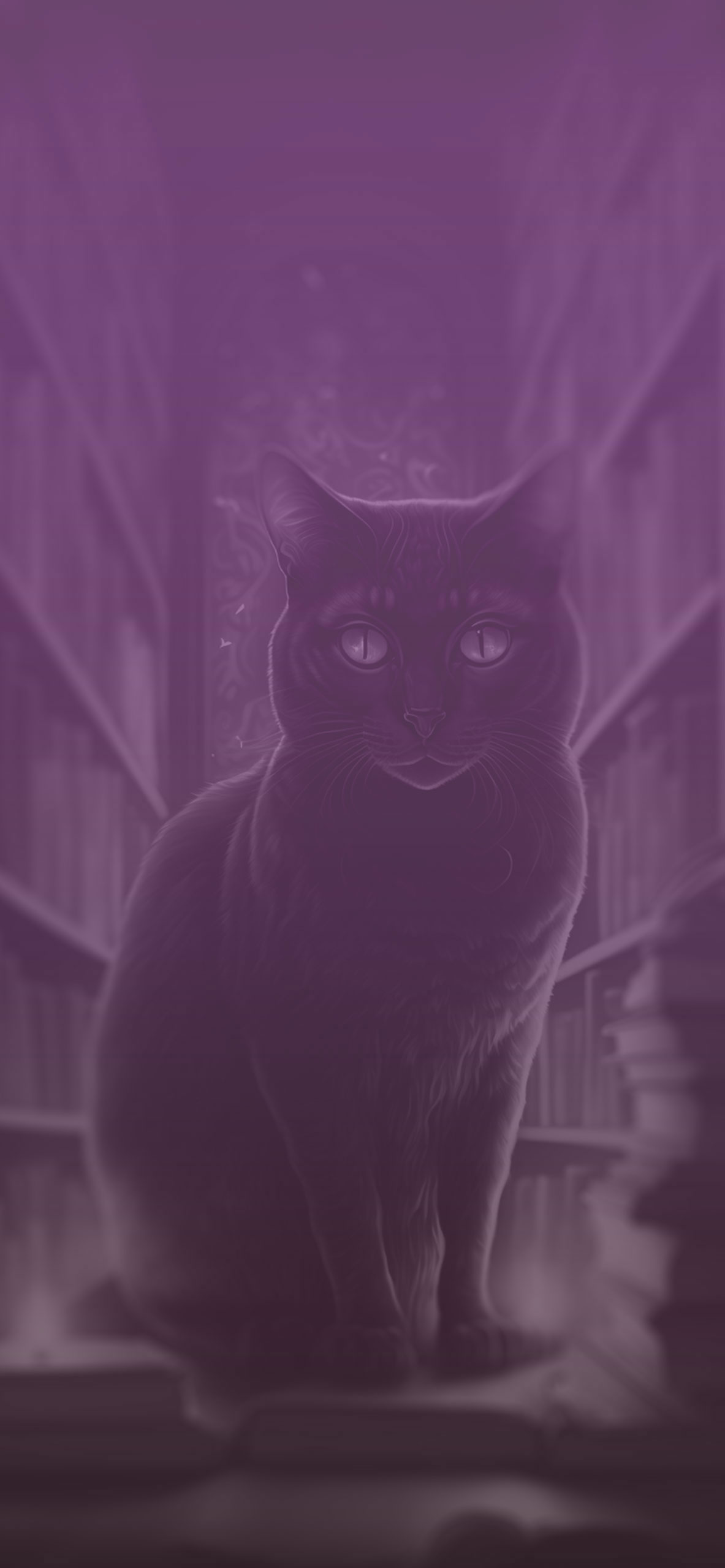 black cat in library background