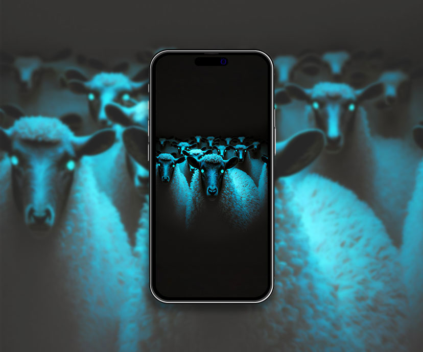 horror sheeps wallpapers collection