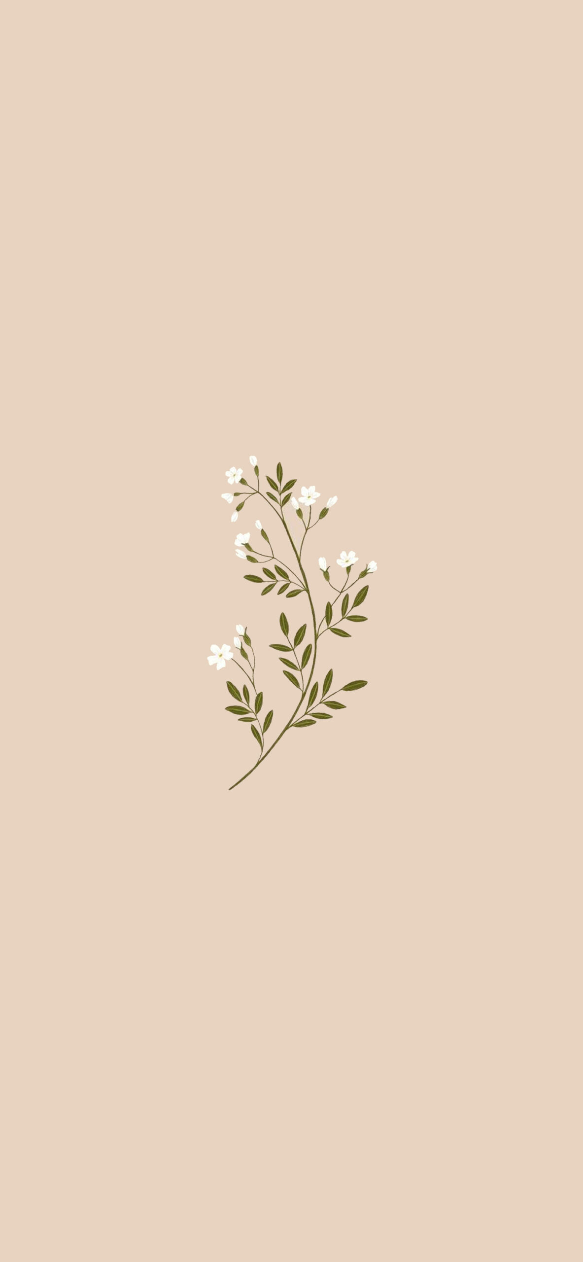 jasmine blossoms beige wallpaper