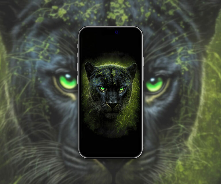 Ape Face Black Wallpapers - Ape Aesthetic Wallpapers for iPhone