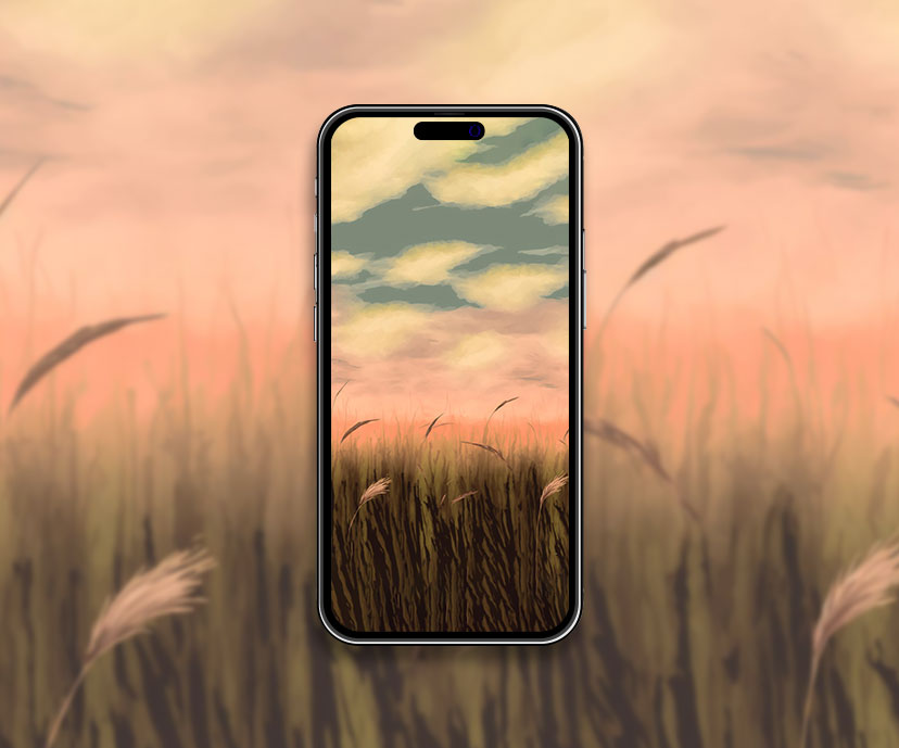 wheat field clouds art wallpapers collection