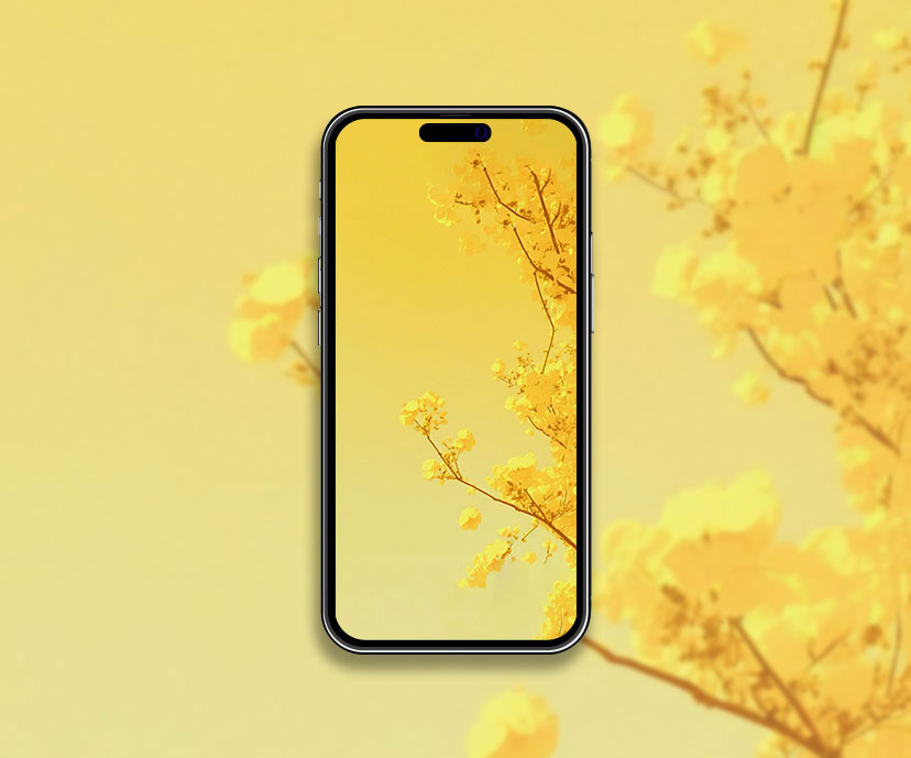 yellow blossom tree aesthetic wallpapers collection