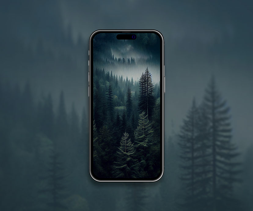 coniferous forest aesthetic wallpapers collection