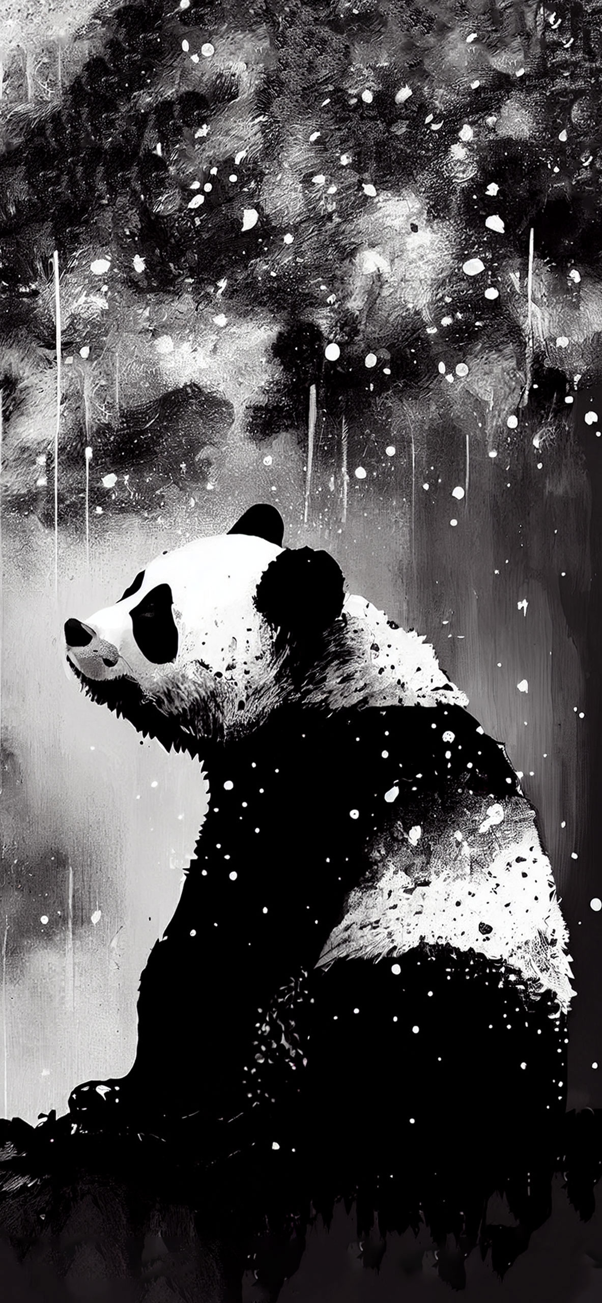 sad panda black and white wallpaper