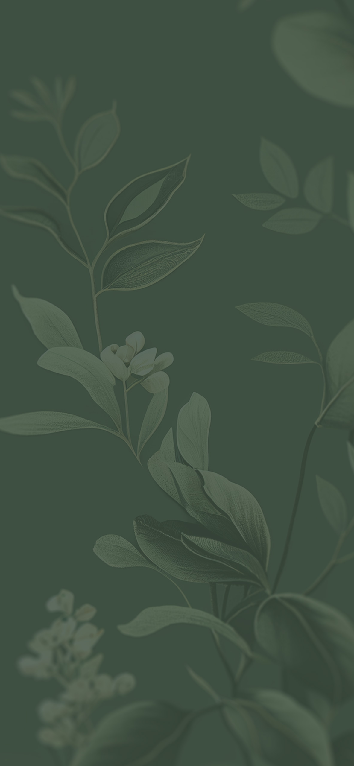 Blooming Flowers Sage Green Wallpapers - Dark Green Wallpaper