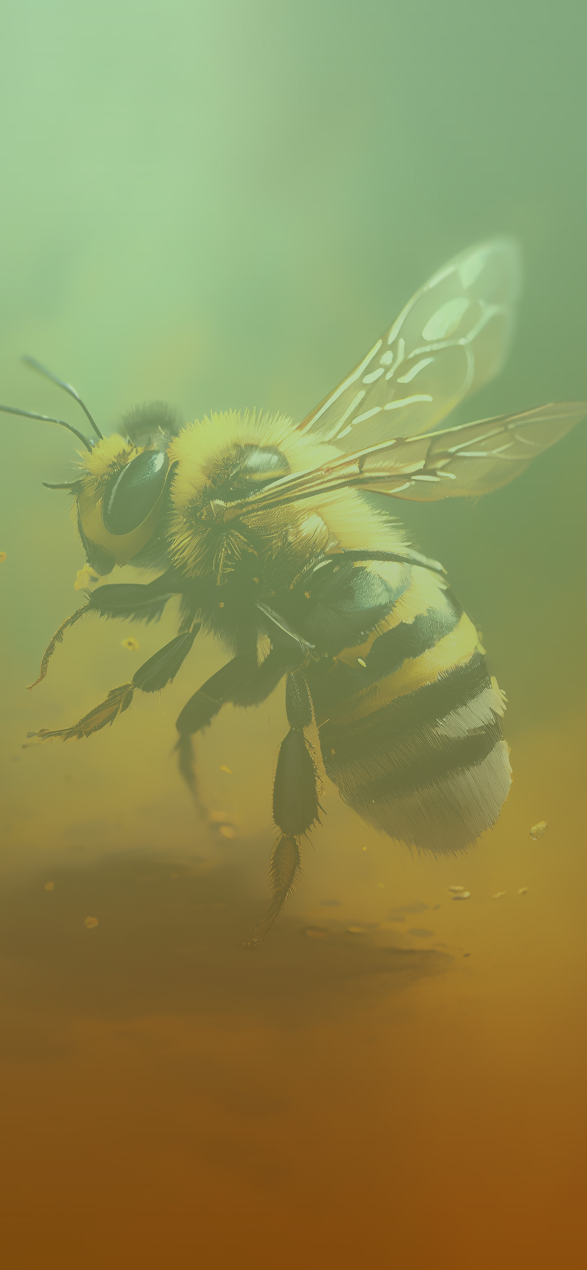 bumblebee aesthetic background