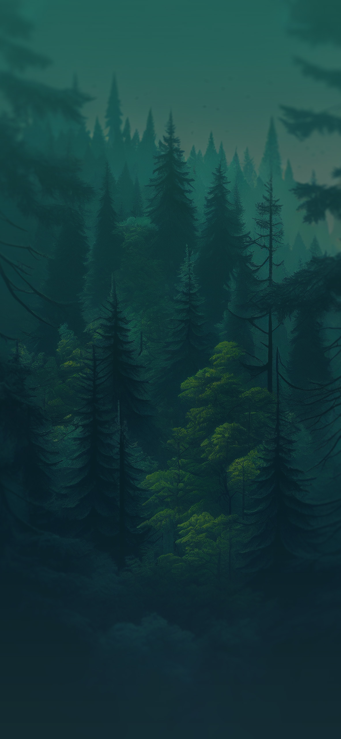 coniferous green forest background