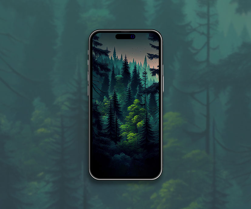 coniferous green forest wallpapers collection