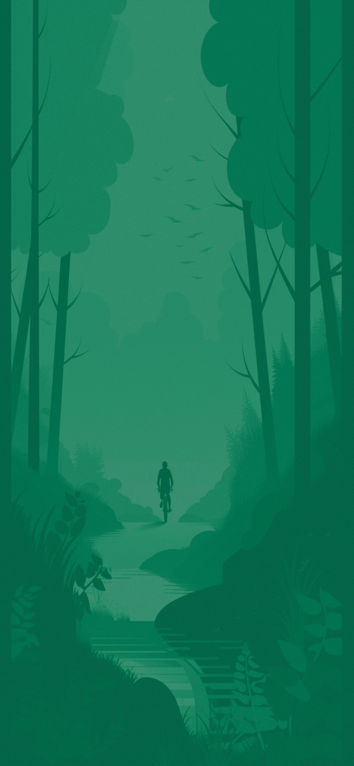 cyclist in the forest background