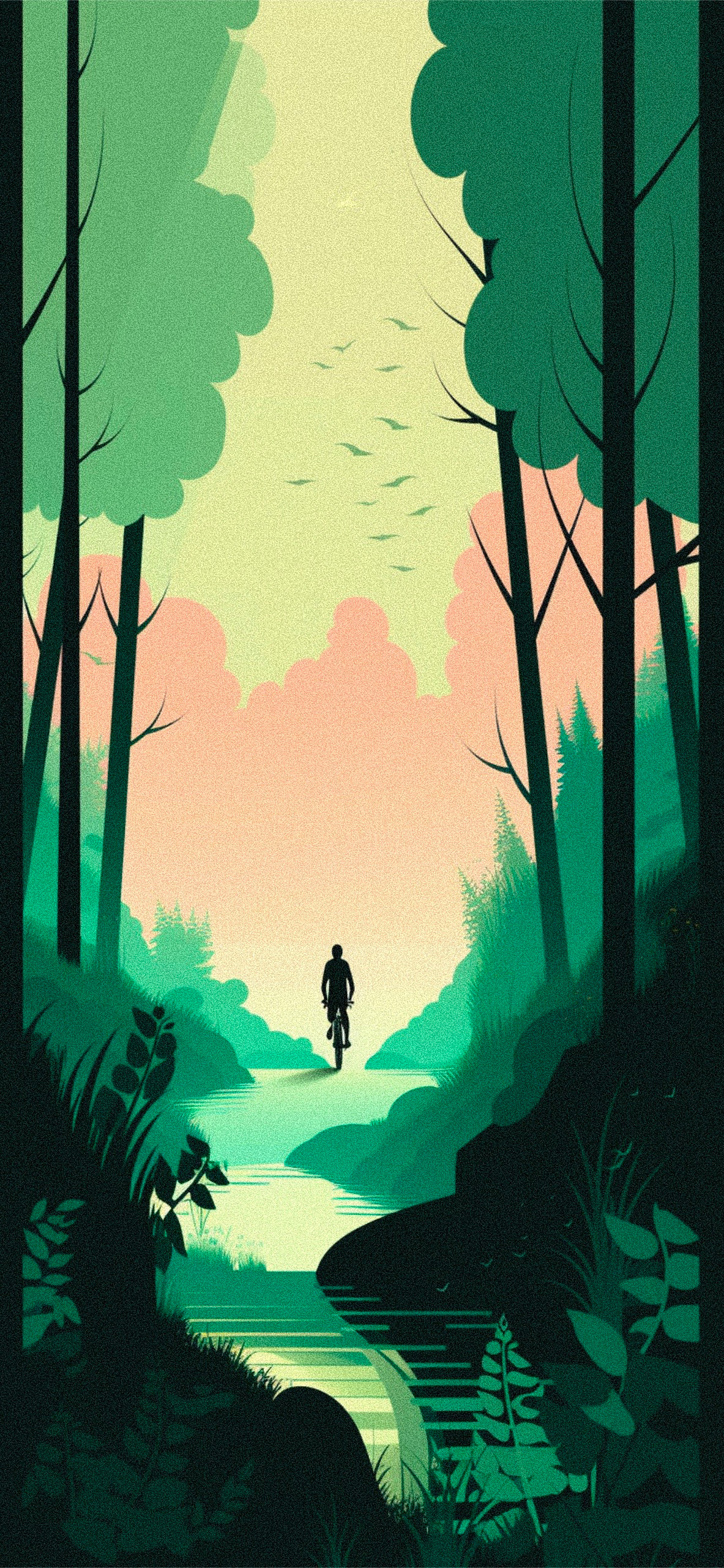 cyclist in the forest wallpaper