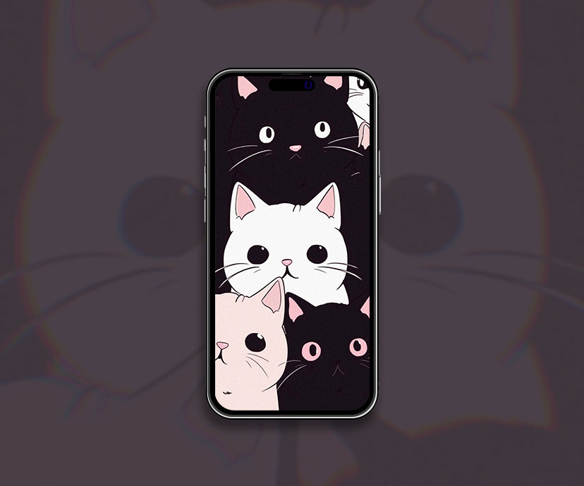 funny cats aesthetic wallpapers collection