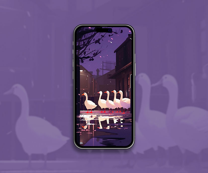 geese geng in the yard wallpapers collection