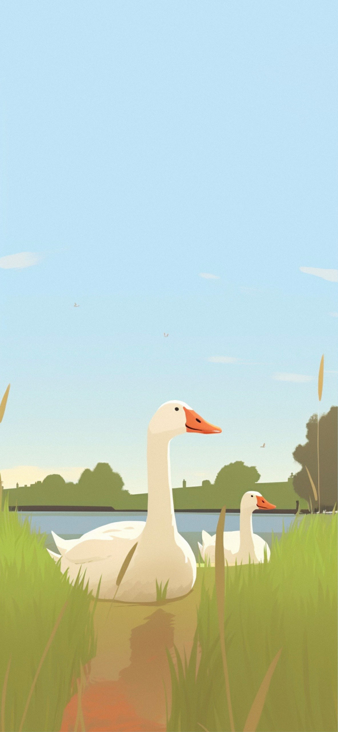 Geese in Lake Aesthetic Wallpapers  Goose Aesthetic Wallpapers