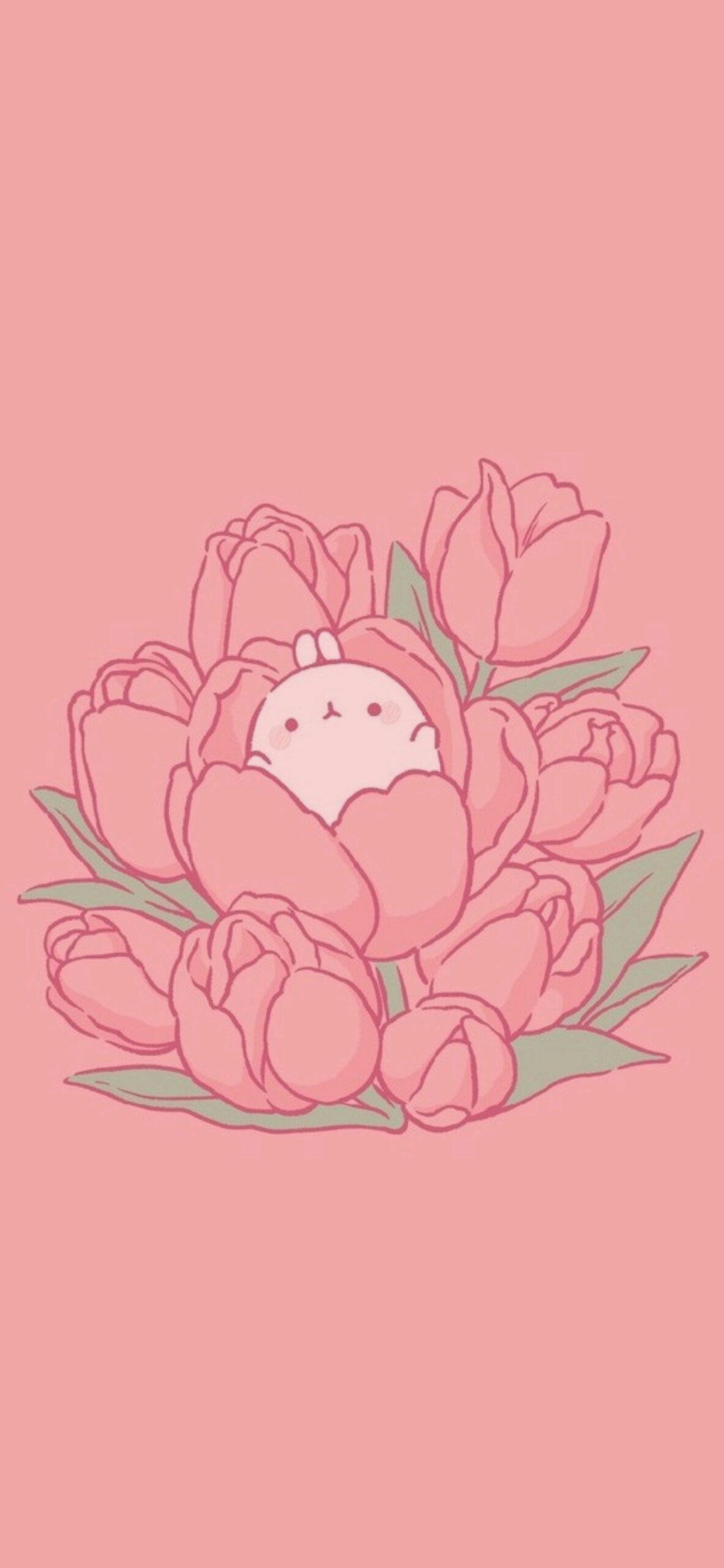 molang with tulip pink background