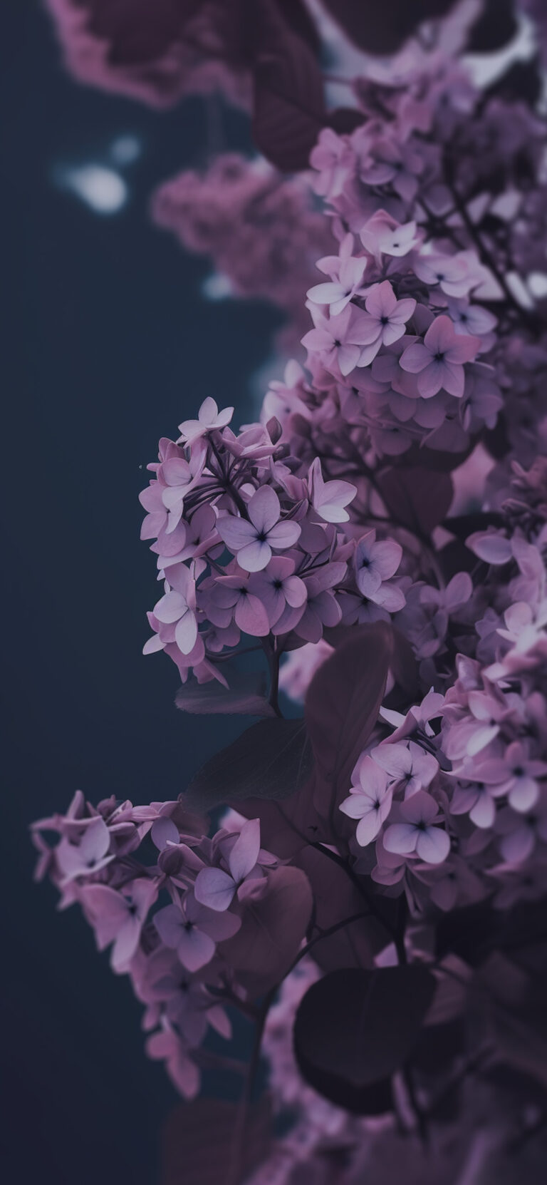 Common Lilac Aesthetic Wallpapers - Blossom Wallpaper iPhone