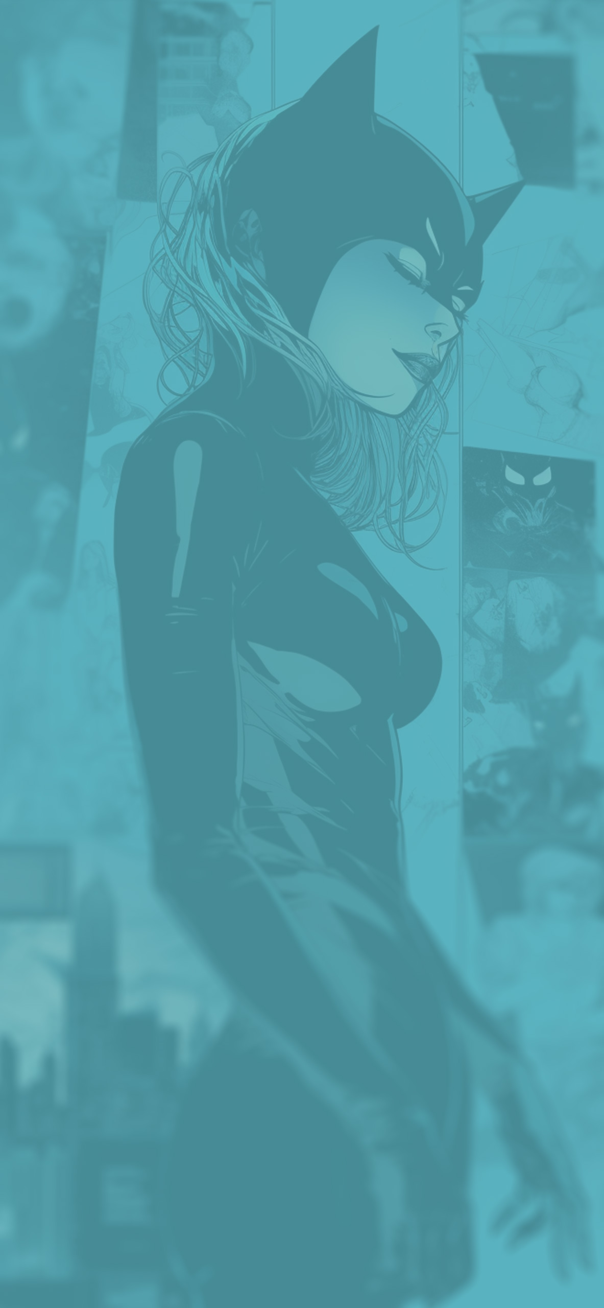 dc catwoman blue background