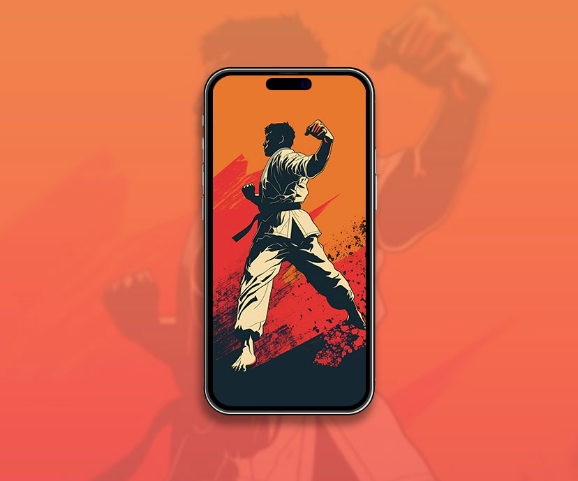 karate orange wallpapers collection