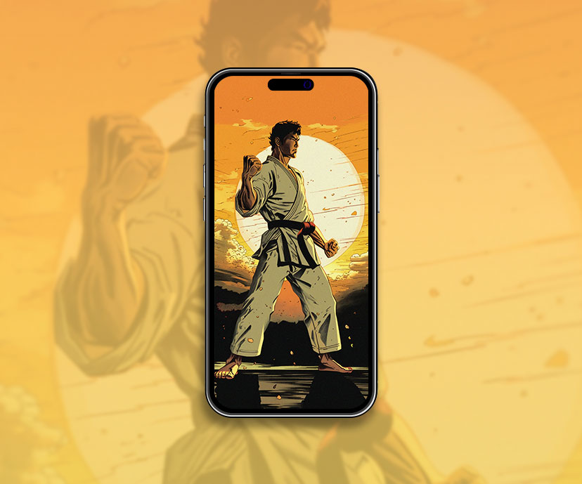 karate sunset art wallpapers collection