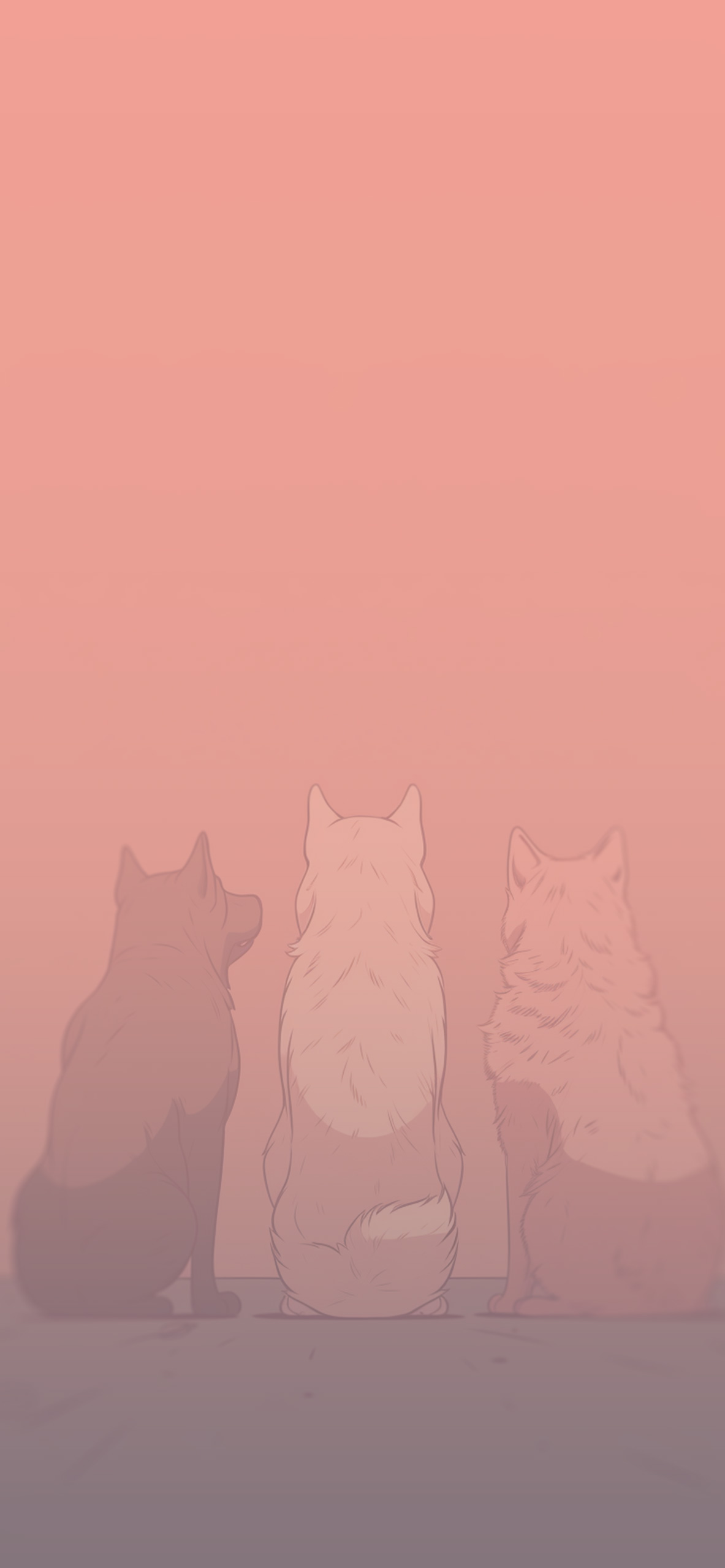 three dogs pink background