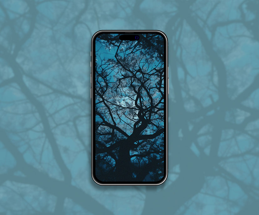 tree branches blue aesthetic wallpapers collection