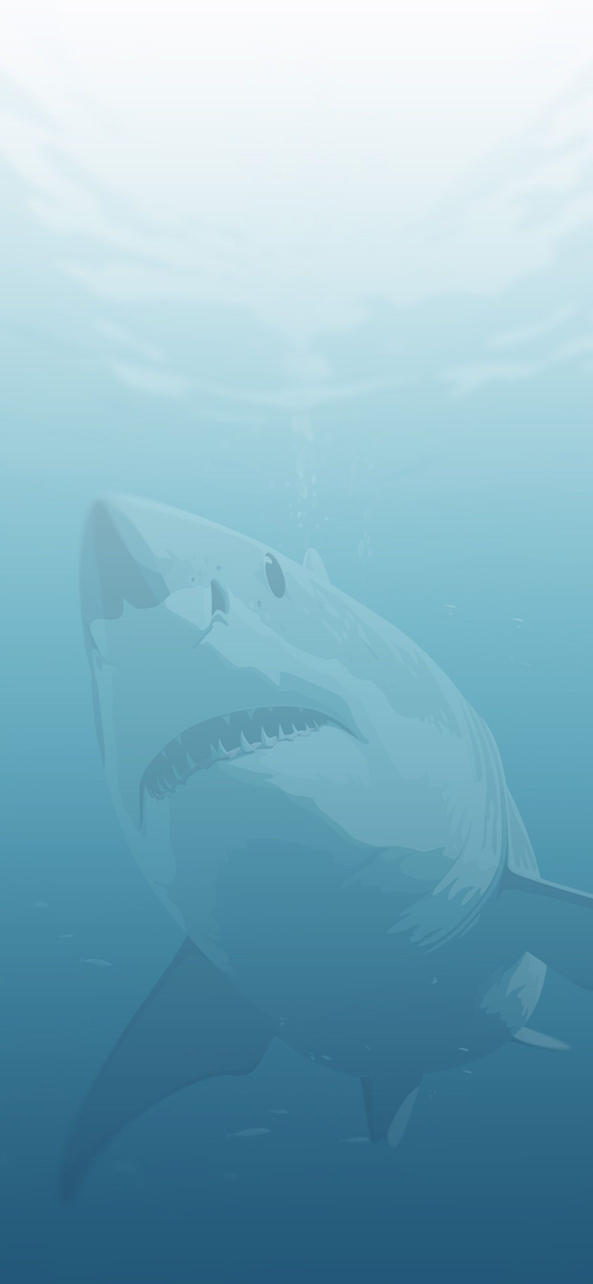 Download Shark wallpapers for mobile phone free Shark HD pictures