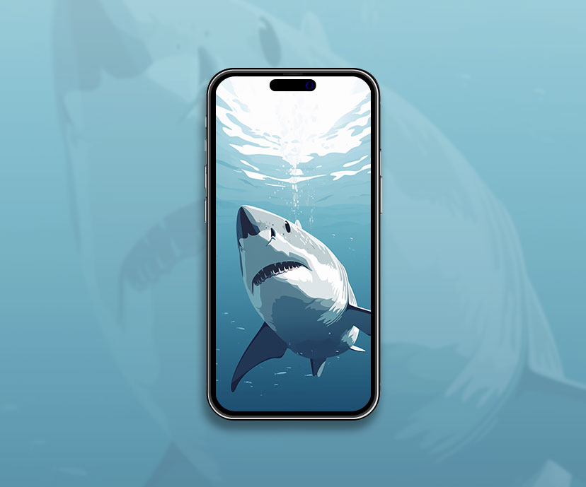collection de fonds d’écran bleu requin blanc
