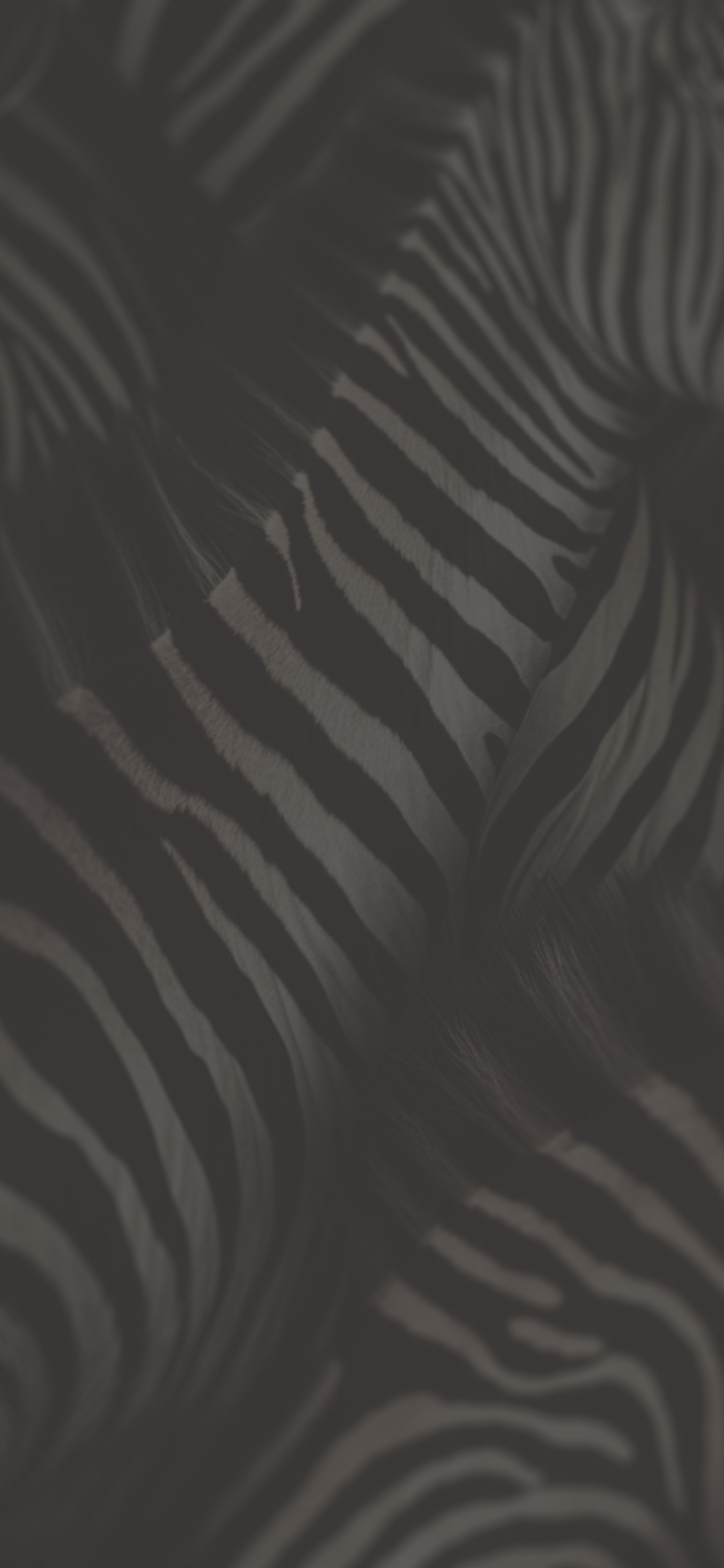 zebra pattern background