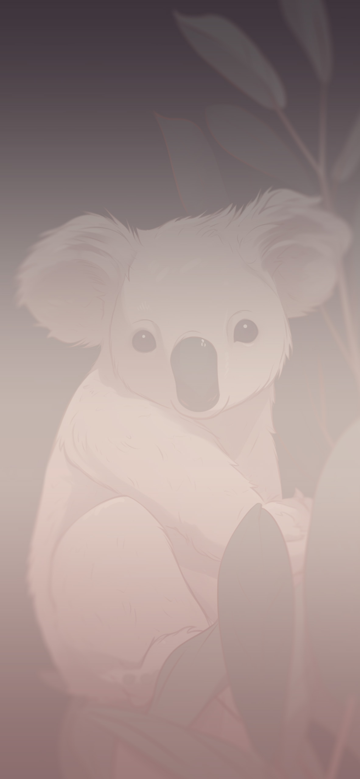 aesthetic koala grey background