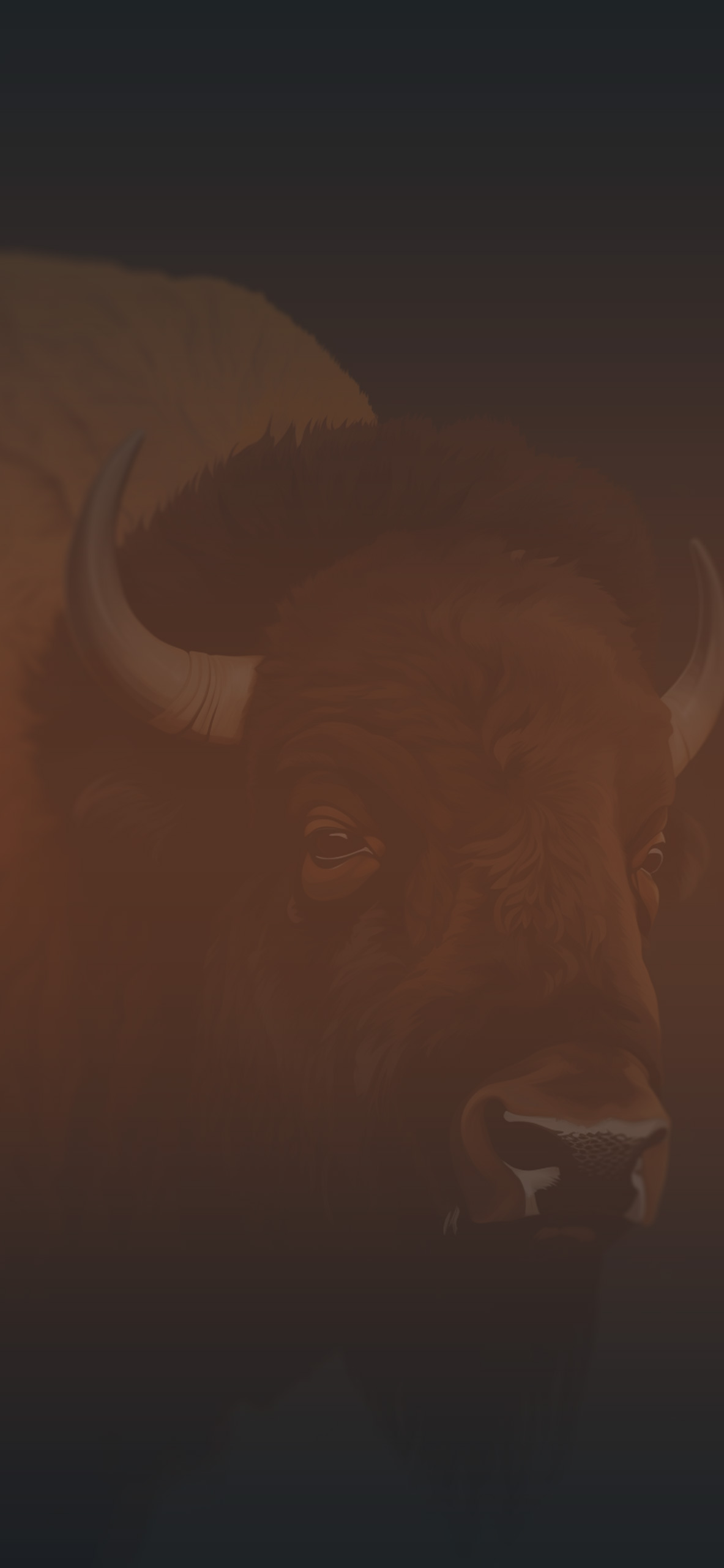 bison black background