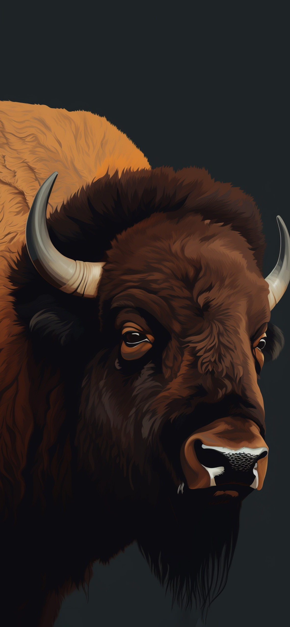 bison black wallpaper