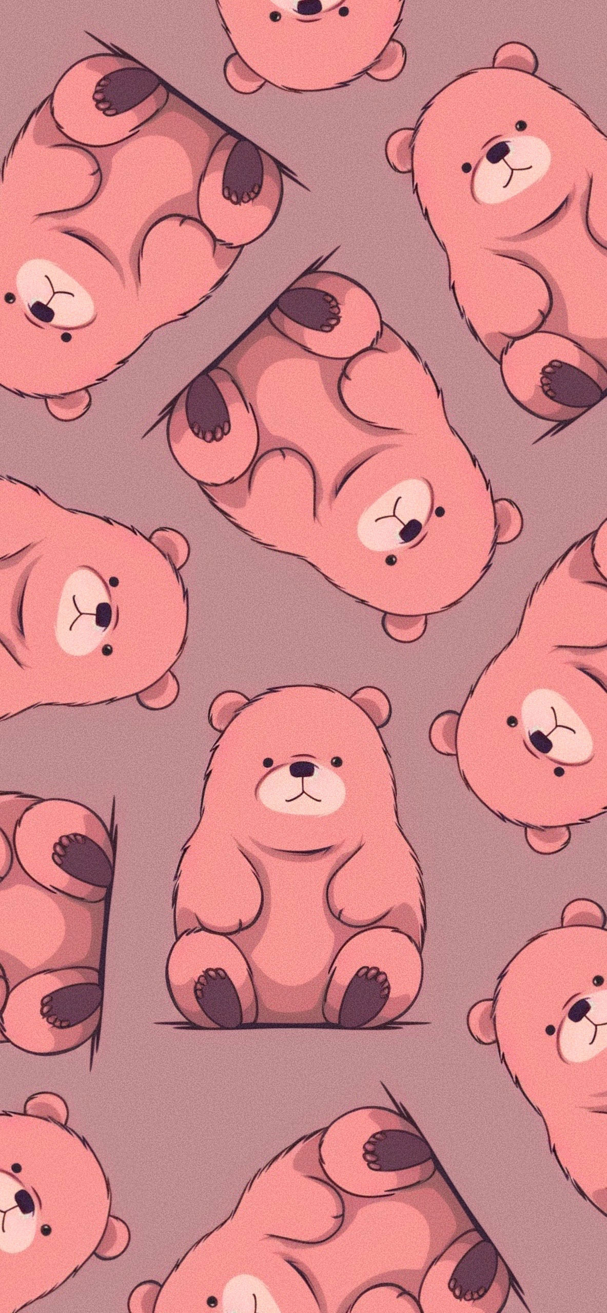 cute bear brown wallpaper2