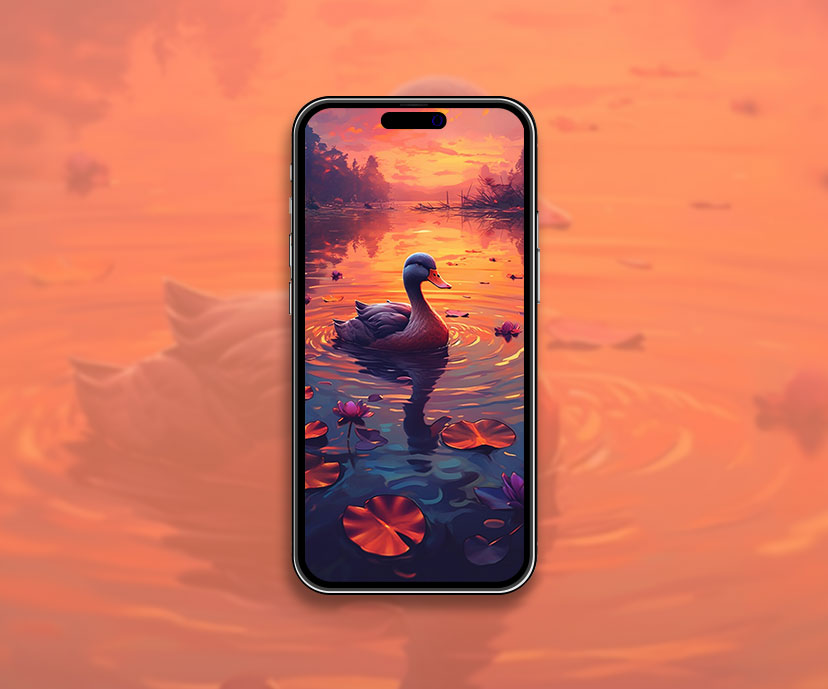 Duck in the Lake Beautiful Wallpaper Cool Duck Wallpaper for i