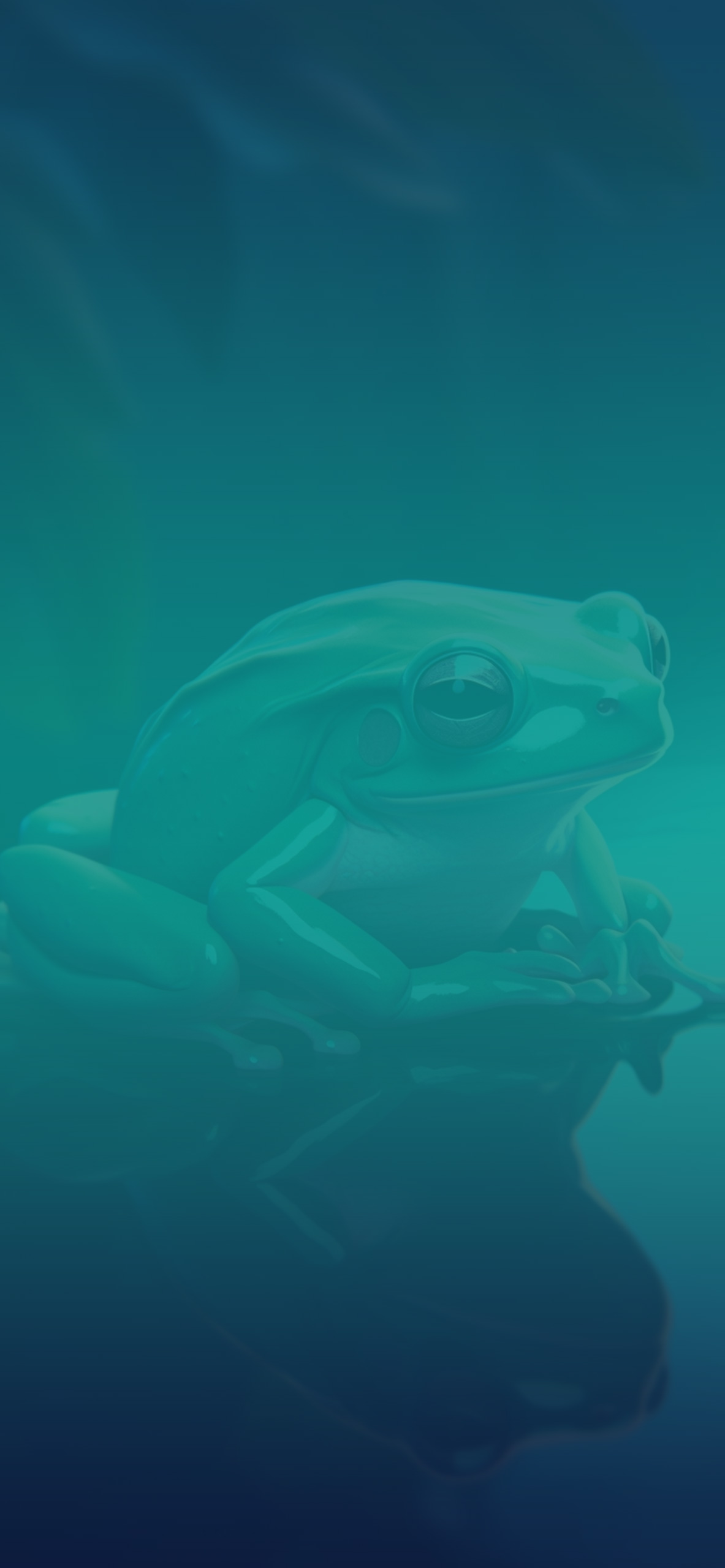 green toad blue background