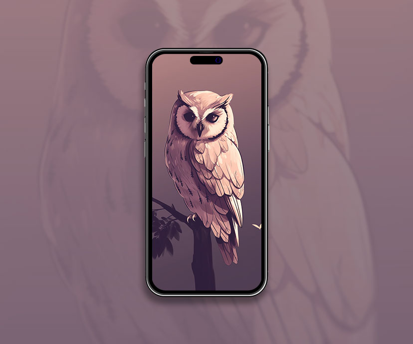 Owl Sitting on Branch Wallpaper Owl Wallpaper for iPhone