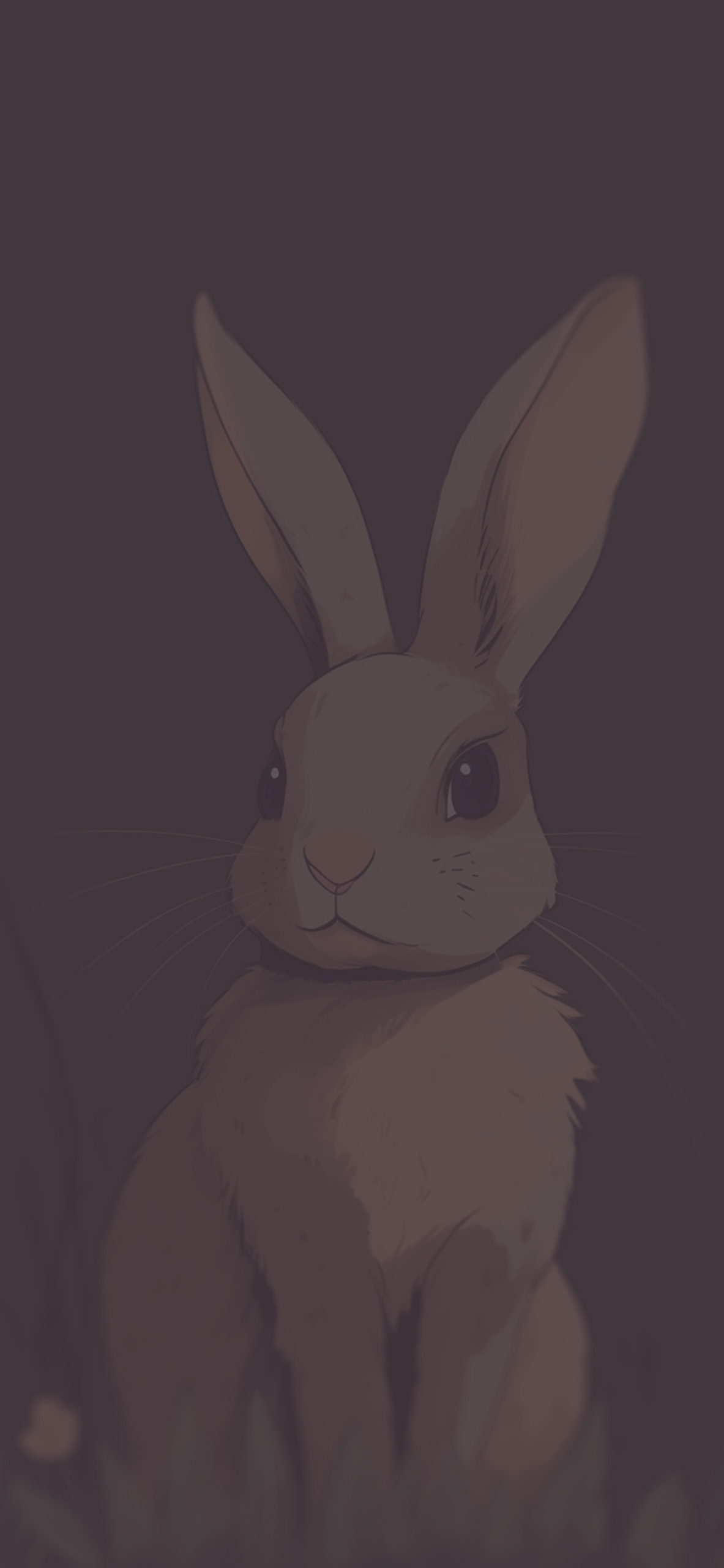 Rabbit Brown Wallpaper Rabbit Wallpaper for iPhone