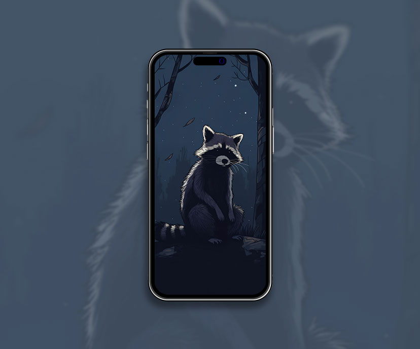Raccoon & Night Art Wallpaper Raccoon Wallpaper for iPhone