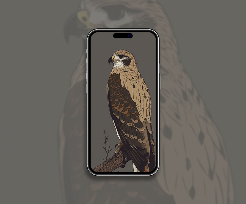 Papier peint Esthétique Hawk Grey Fond d’écran Aesthetic Hawk pour iPh