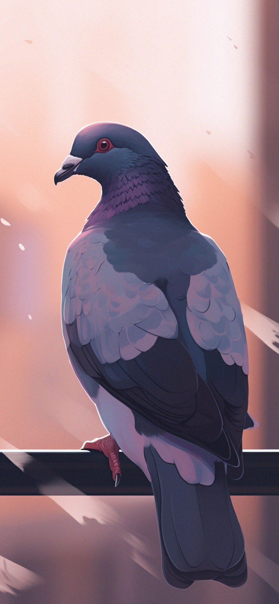 Aesthetic Pigeon Wallpaper Pigeon Wallpaper for iPhone