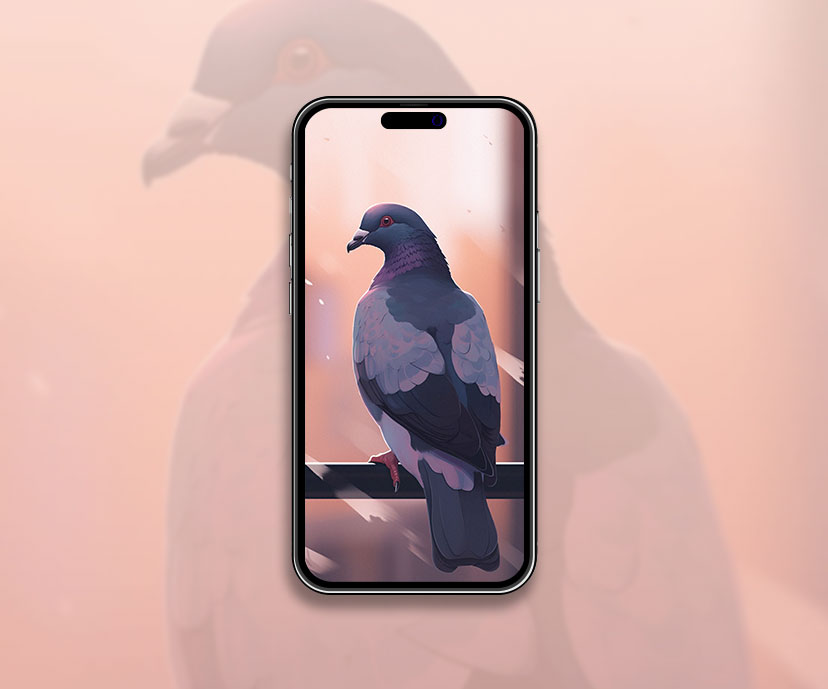 Fond d’écran Pigeon esthétique Fond d’écran Pigeon pour iPhone